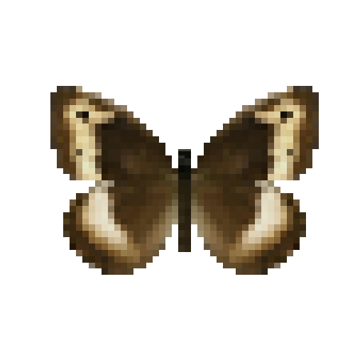 butterfly-dead-rockgraylingmale