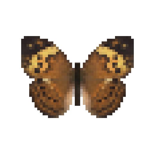 butterfly-dead-rustic