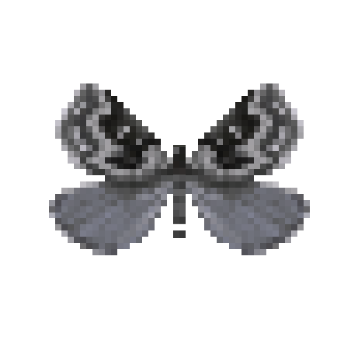 butterfly-dead-sagebrushgirdlemoth