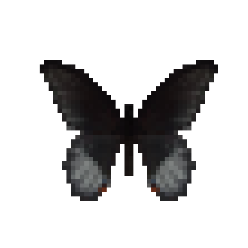 butterfly-dead-scarletmormonmale