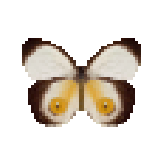 butterfly-dead-silkyowl