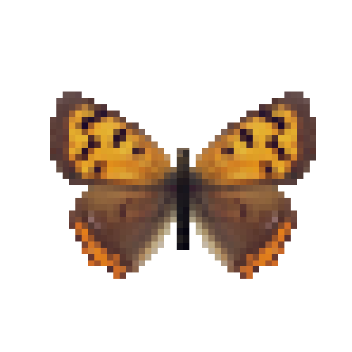 butterfly-dead-smallcoppermale