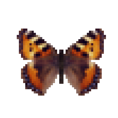 butterfly-dead-smalltortoiseshell