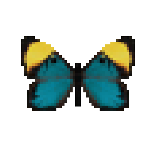butterfly-dead-stichelseyemarkfemale