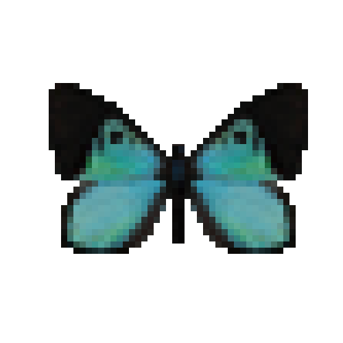 butterfly-dead-stichelseyemarkmale
