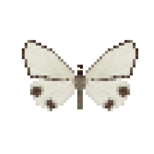 butterfly-dead-thalainachionoptila