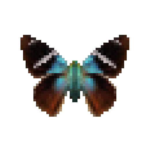 butterfly-dead-twobarredflasher