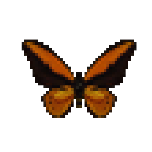 butterfly-dead-wallacesgoldenbirdwingmale
