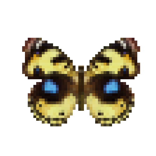 butterfly-dead-yellowpansyfemale