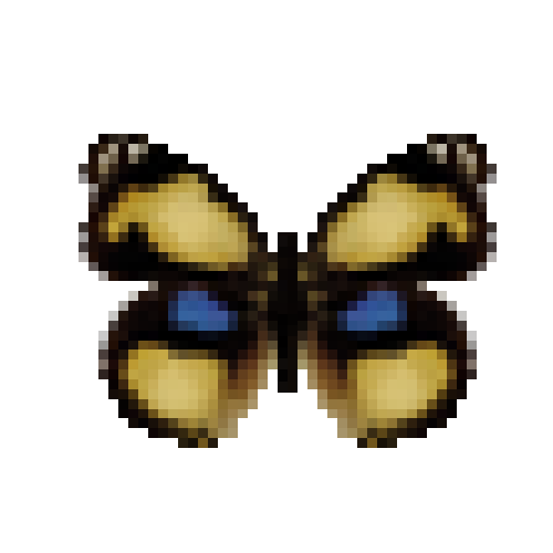butterfly-dead-yellowpansymale