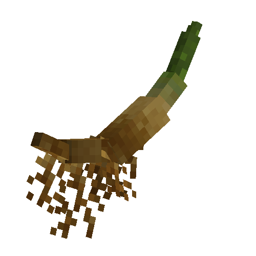 Cattail root