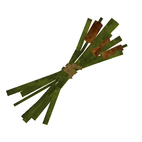 Cattails