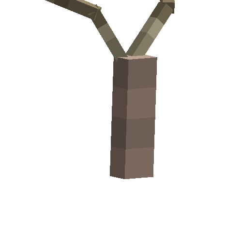 Acacia amulet