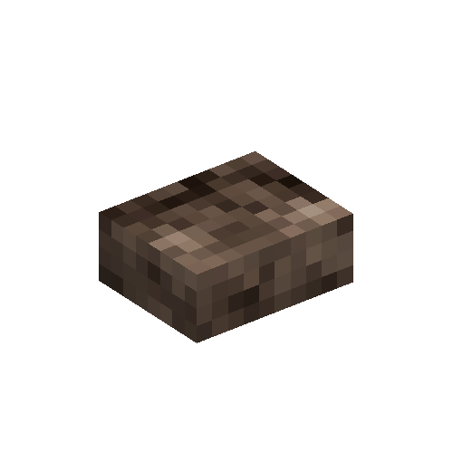 Chunk of coral (brown)