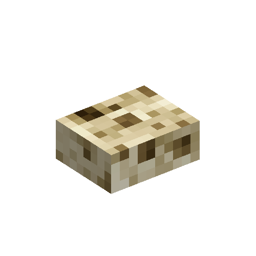 Chunk of coral (dead)