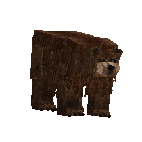 Brown bear (female)