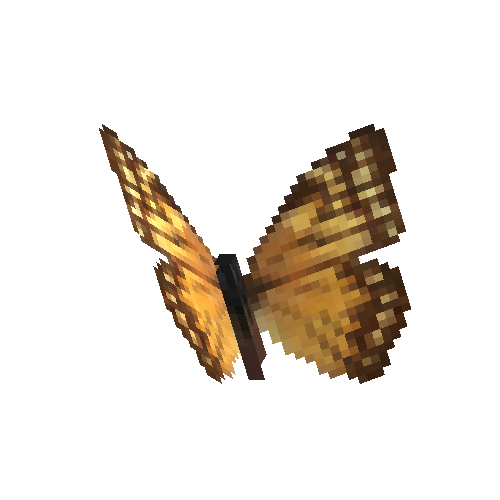 Aega Morpho (brown female)