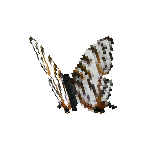 African Mapwing