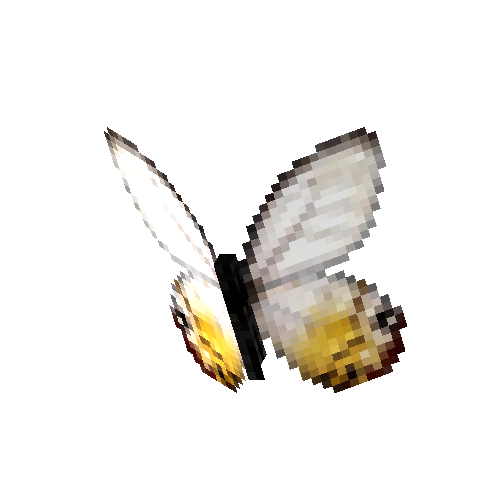Amber Phantom