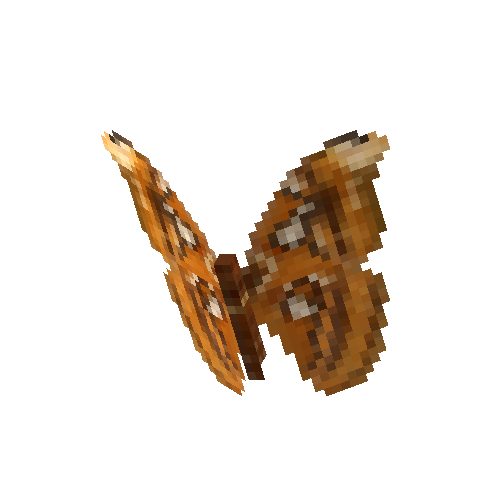 Atlas Moth (female)