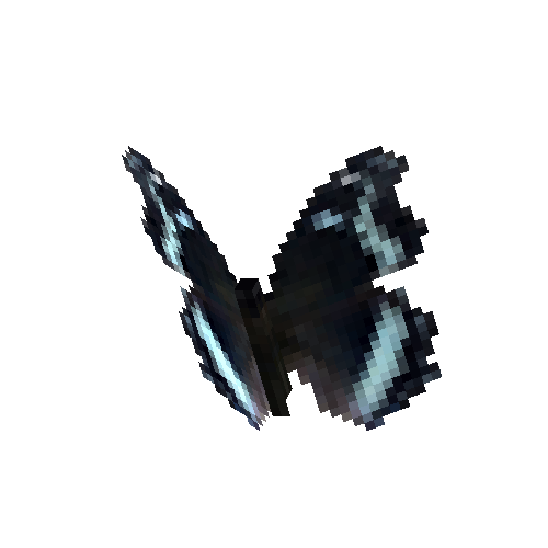 Blue Admiral