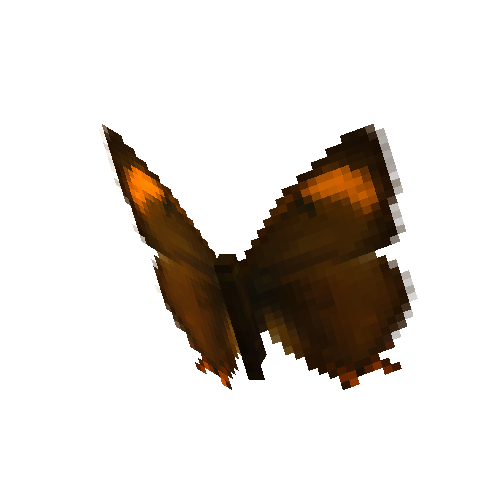 Brown Hairstreak (female)