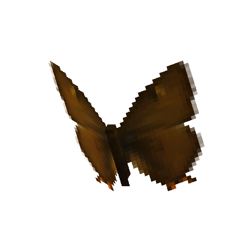 Brown Hairstreak (male)