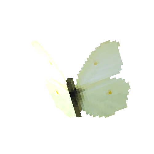 Common Brimstone (female)