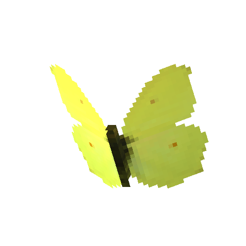 Common Brimstone (male)