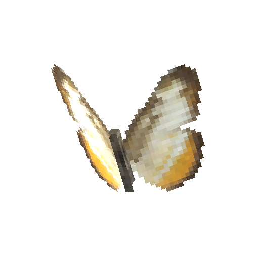 Common Mestra