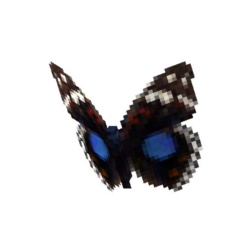 Dark Blue Pansy