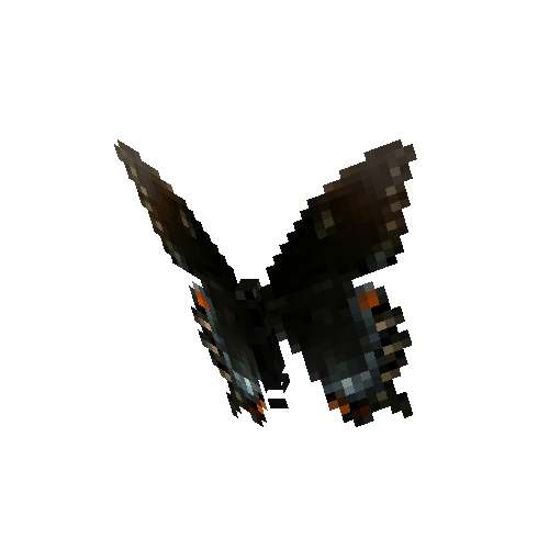 Eastern Tiger Swallowtail (dark female)