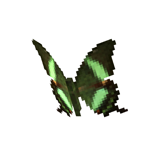 Emerald Swallowtail