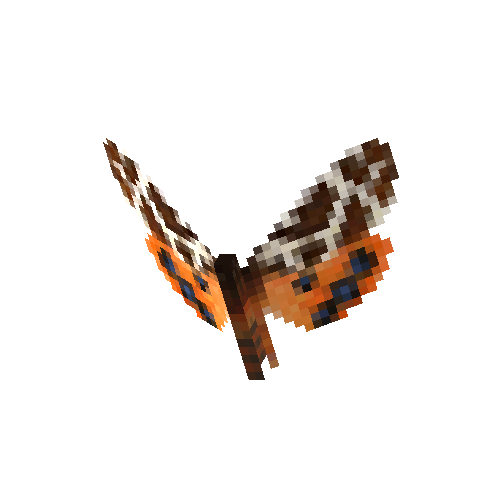 Garden Tiger Moth (male)