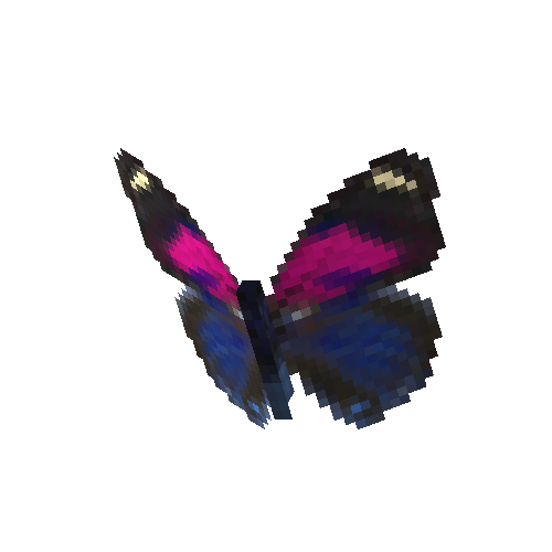 Godarts Numberwing