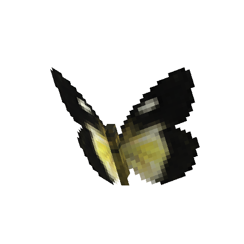 Golden Jezebel (female)