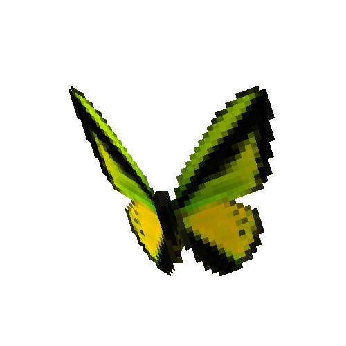 Goliath Birdwing (male)