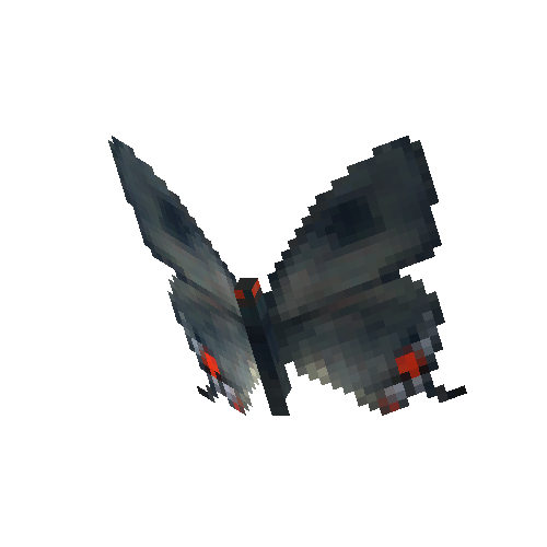 Gray Hairstreak