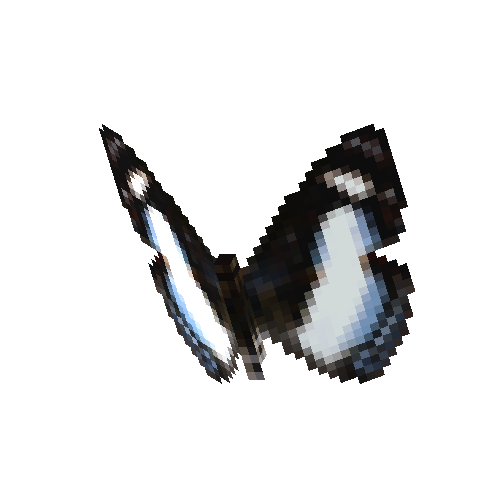 Irenia Metalmark