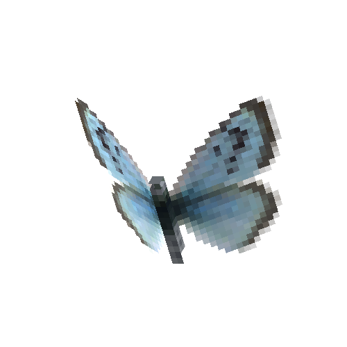 Large Blue (female)