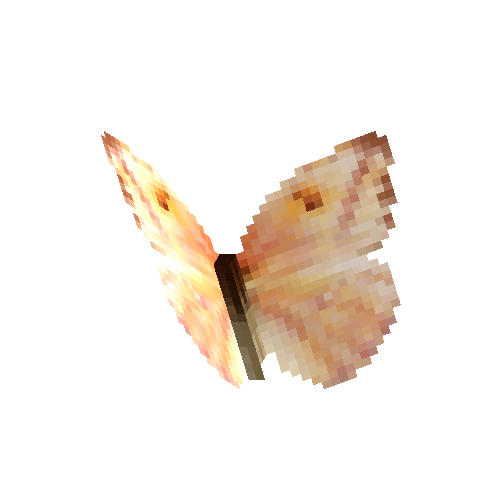 Large Orange Sulphur (female)