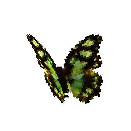 Malachite Butterfly