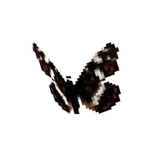 Map Butterfly (male, summer form)