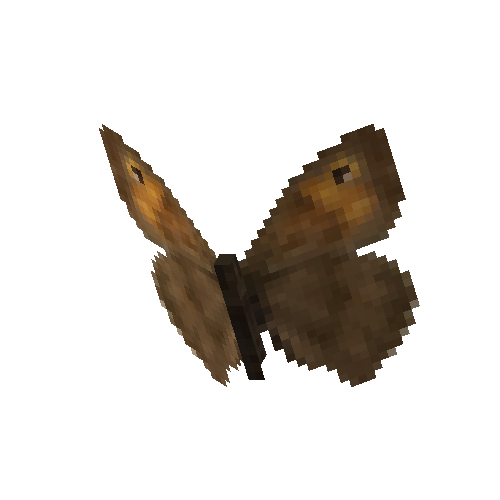 Meadow Brown (female)