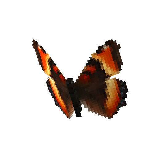 Milberts Tortoiseshell (male)