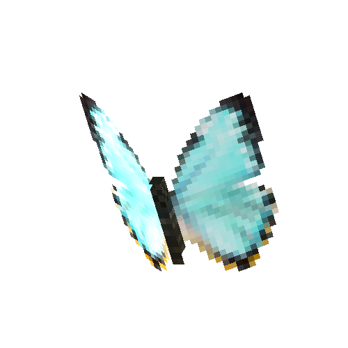 Morpho Portis (male)