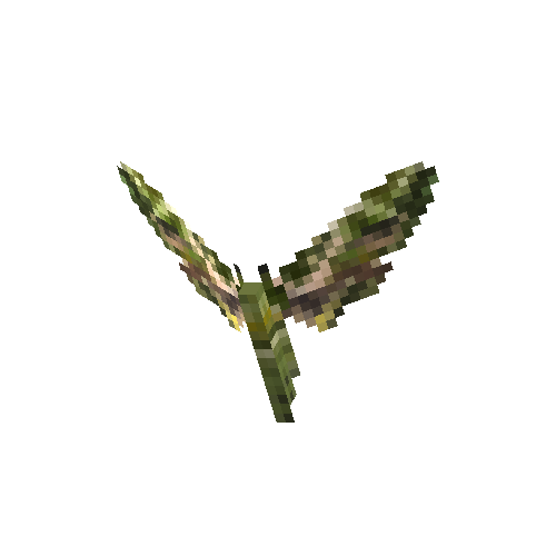 Oleander Hawk Moth (male)