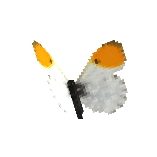 Orange Tip (male)