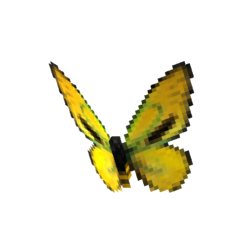 Ornithoptera Priamus Euphorion ab. Golden (male)