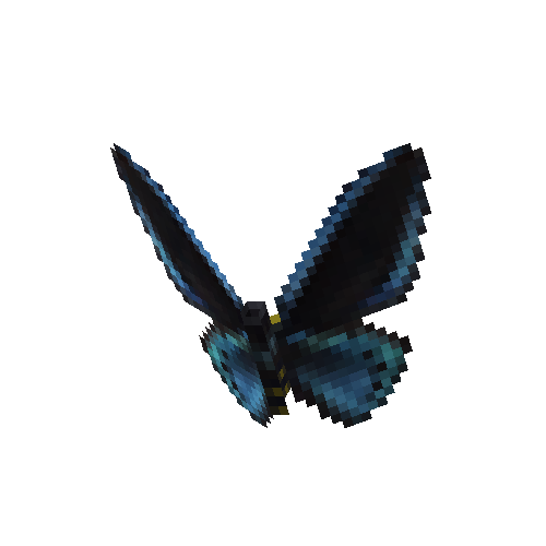 Ornithoptera Priamus Miokensis (male)